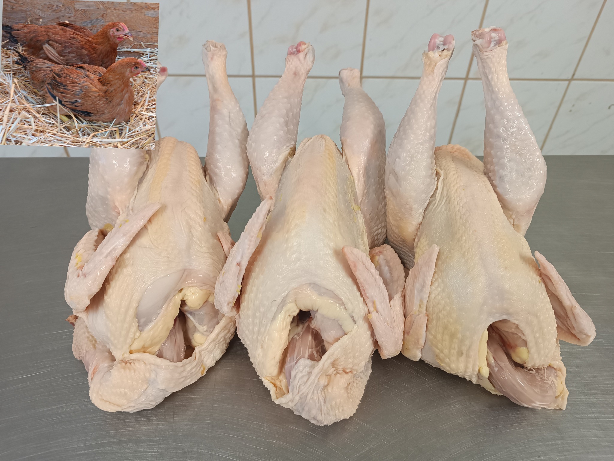 konyhakész vörös jérce